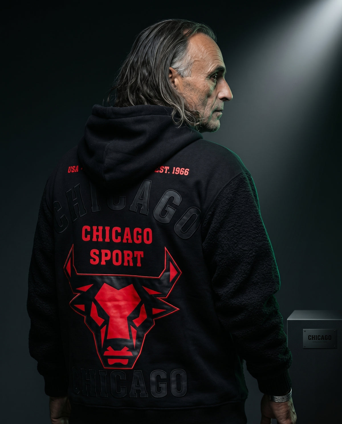 Pino Editorial — Hoodie Flex-Style – Chicago Sport